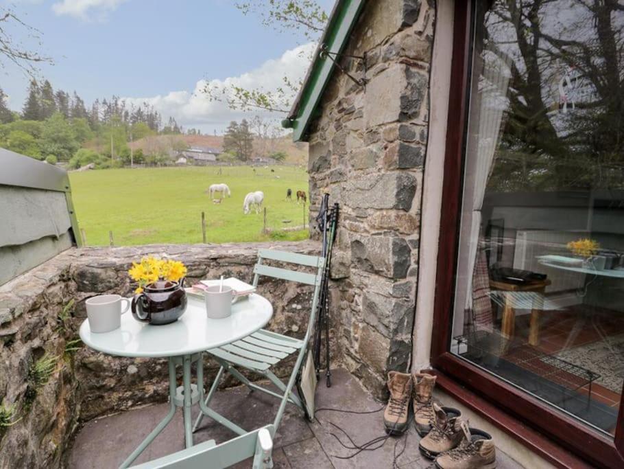 Y Gribyn - Modern Stone Cottage Within Snowdonia'S National Park Dolgellau Eksteriør bilde