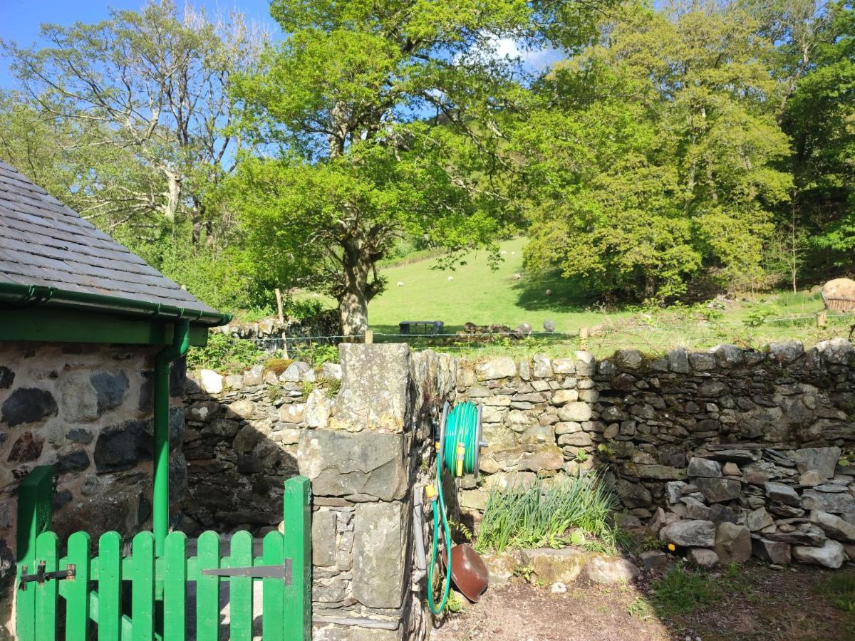 Y Gribyn - Modern Stone Cottage Within Snowdonia'S National Park Dolgellau Eksteriør bilde