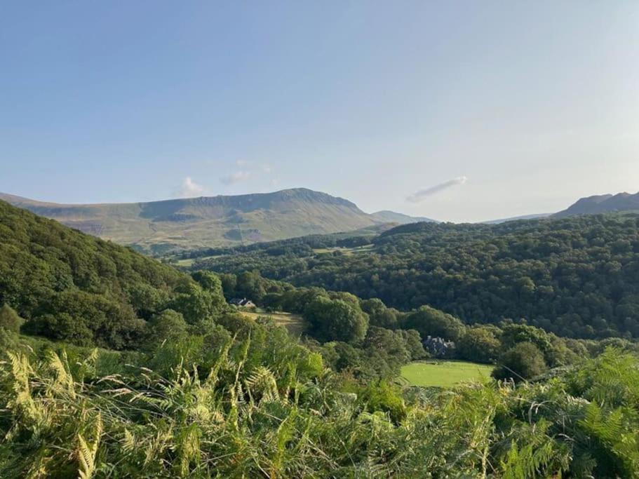 Y Gribyn - Modern Stone Cottage Within Snowdonia'S National Park Dolgellau Eksteriør bilde
