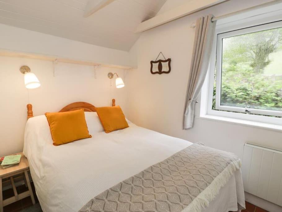 Y Gribyn - Modern Stone Cottage Within Snowdonia'S National Park Dolgellau Eksteriør bilde