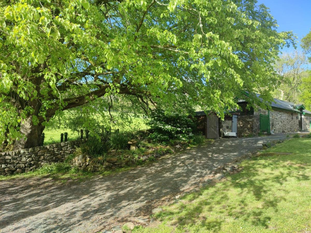 Y Gribyn - Modern Stone Cottage Within Snowdonia'S National Park Dolgellau Eksteriør bilde